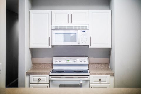 Rittenhouse Row interior kitchen
